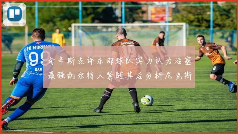 考辛斯点评东部球队实力认为活塞最强凯尔特人紧随其后分析尼克斯不足之处
